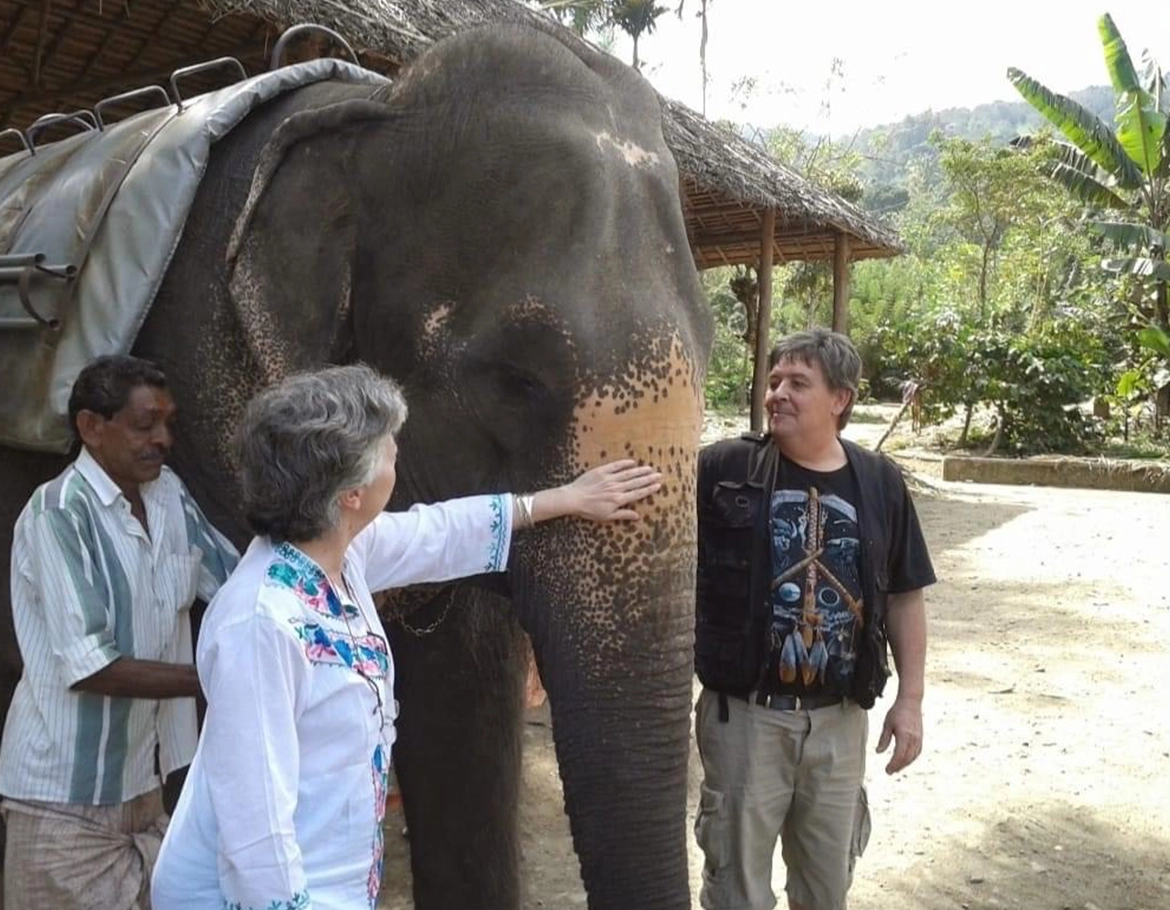 Viaje Panchakarma